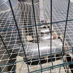 Geotechnical Design - Site Photo